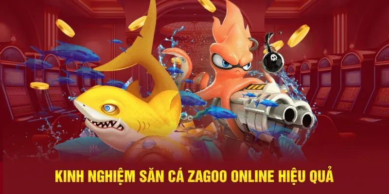 Kinh nghiệm bắn cá Zagoo online hiệu quả