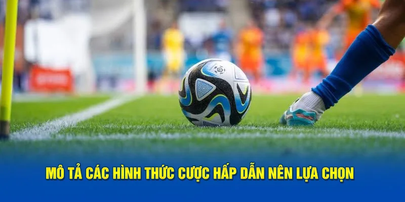 Mô tả các hình thức cược hấp dẫn nên lựa chọn