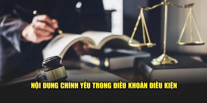 Nội dung chính yếu trong điều khoản điều kiện