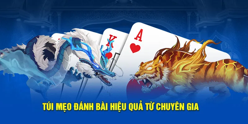 Túi mẹo đánh bài hiệu quả từ chuyên gia